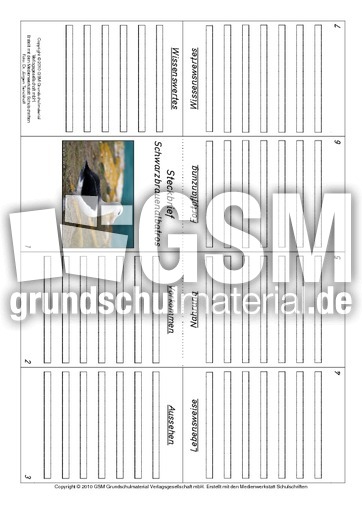Faltbuch-Schwarzbrauenalbatros.pdf